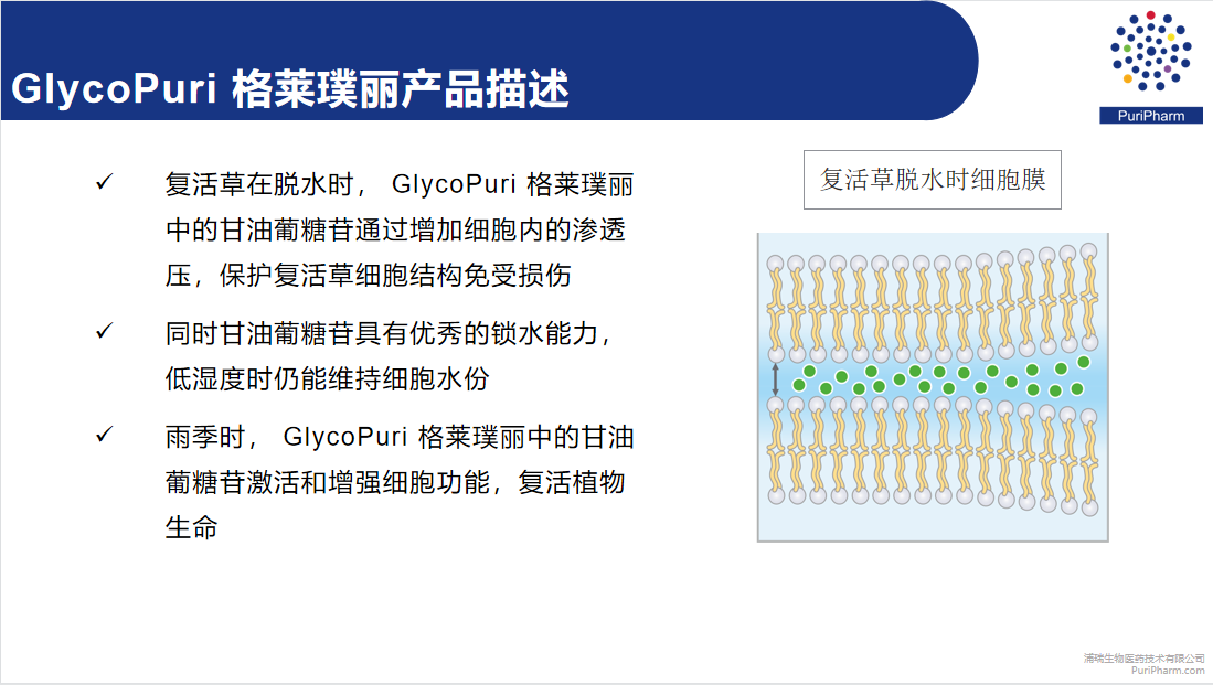格莱璞丽 来源资料图 3