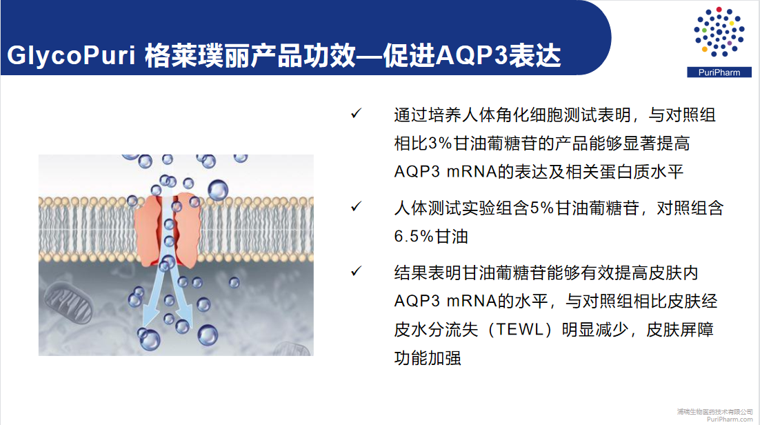 格莱璞丽 来源资料图 5