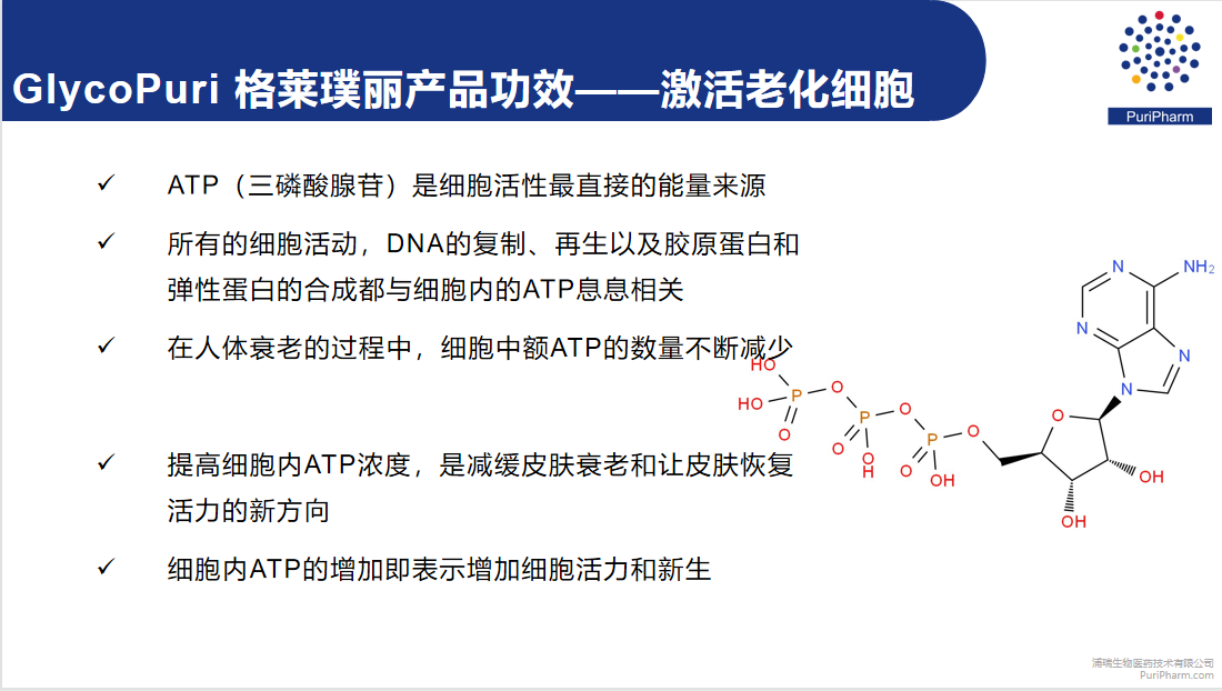 格莱璞丽 来源资料图 11