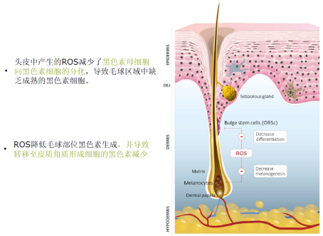 白转黑® 来源资料图 3