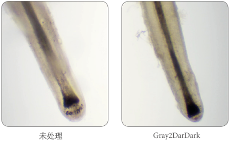 白转黑® 来源资料图 10