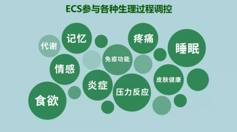 超级大麻素 X-CBD® 来源资料图 2