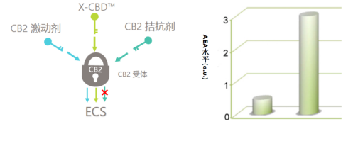 超级大麻素 X-CBD® 来源资料图 4