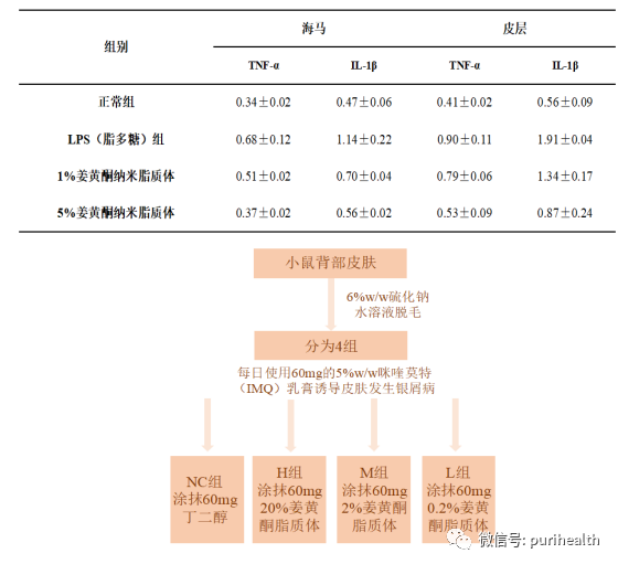 姜黄酮纳米脂质体 来源资料图 7