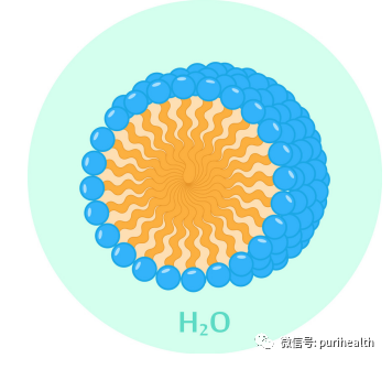 水溶性新橙皮苷二氢查耳酮 来源资料图 3