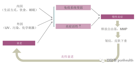 厚朴提取物纳米脂质体 来源资料图 2