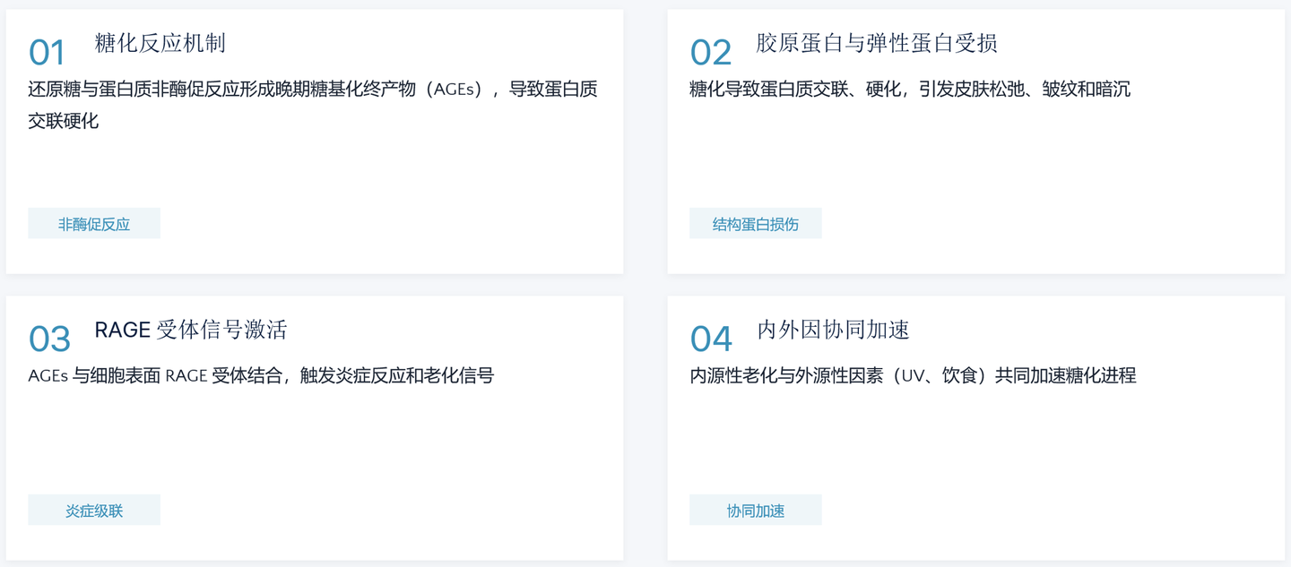 脱羧肌肽 来源资料图 3