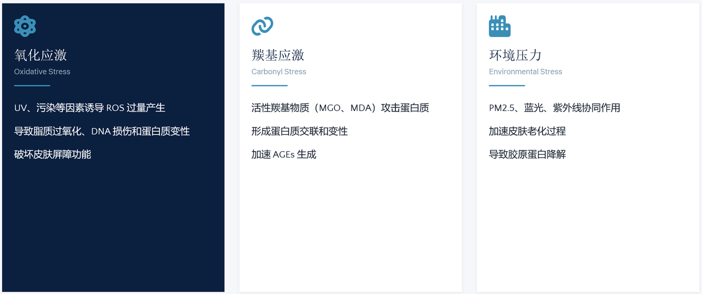 脱羧肌肽 来源资料图 4