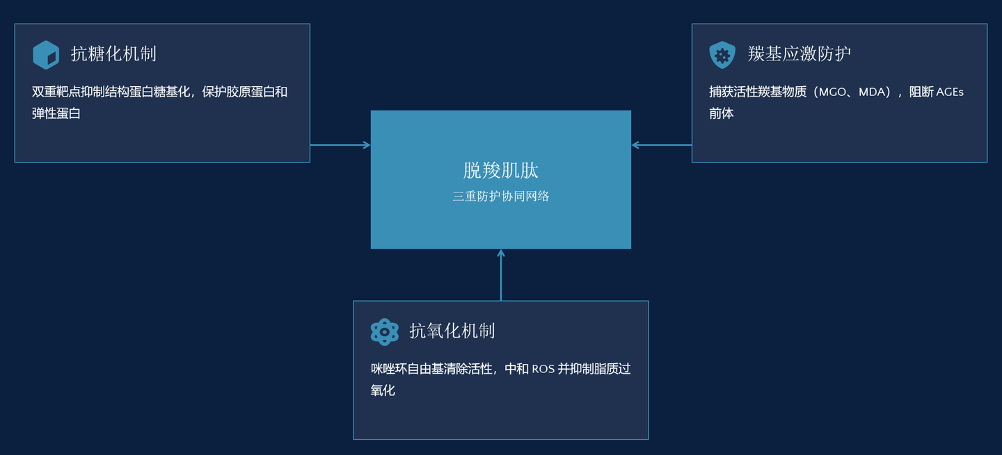 脱羧肌肽 来源资料图 7