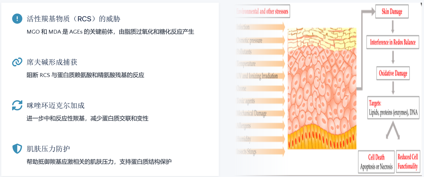 脱羧肌肽 来源资料图 9