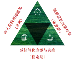 卡瓦提取物 来源资料图 2