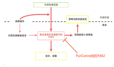 速舒敏® PLUS 来源资料图 4