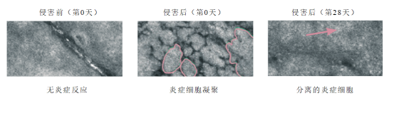 速舒敏® PLUS 来源资料图 10
