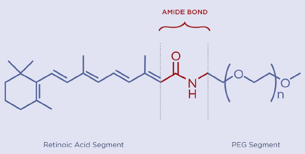 NanoActive RETINAMIDE 视黄酰胺 来源资料图 6