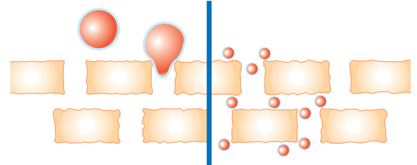 NanoActive ArteOlea™ 青蒿油纳米脂质体 来源资料图 6